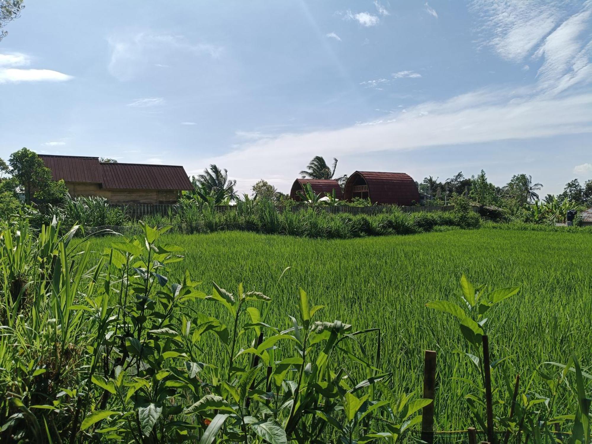 Raturinjani Homestay Selong Szoba fotó